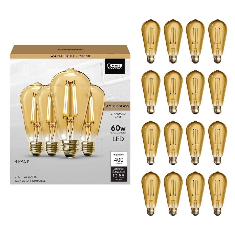 Feit Electric 60-Watt Equivalent ST19 Dimmable Straight Filament Amber Glass E26 Vintage Edison LED Light Bulb, Warm White (16-Pack)