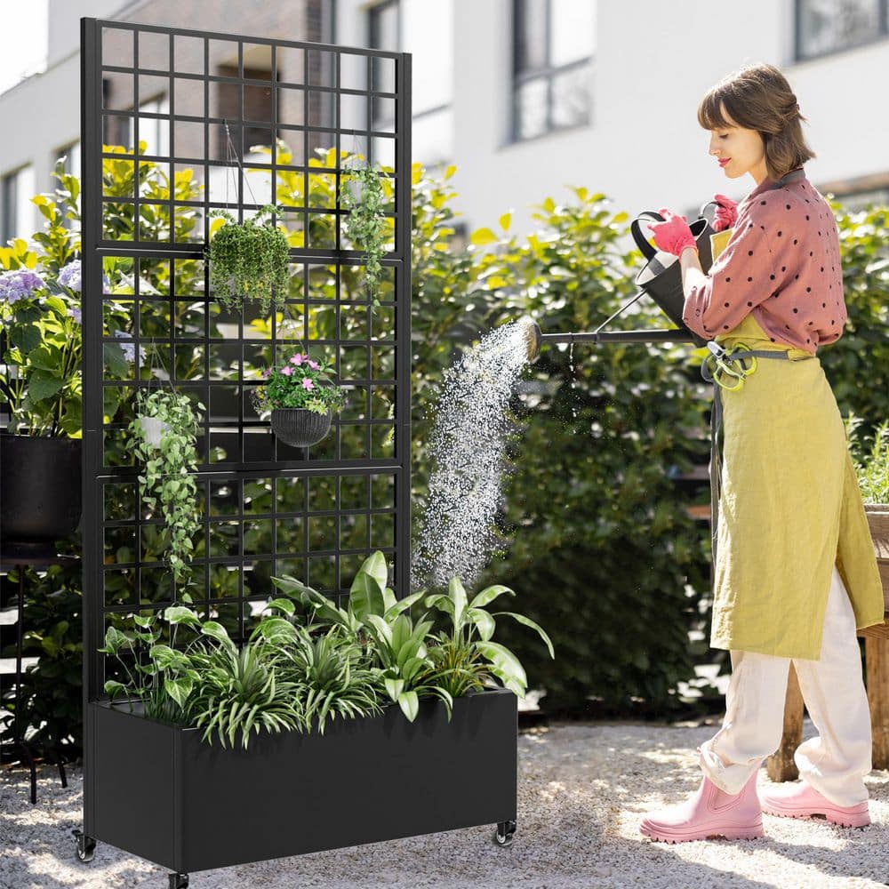 Dovelina 35 in. x 71 in. Black Metal Iron Planter Box with Attached Trellis for Climbing Vegetation (3)