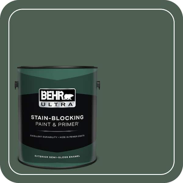 BEHR PREMIUM PLUS #PPU11-20 Congo Enamel & Primer Color Sample (2)