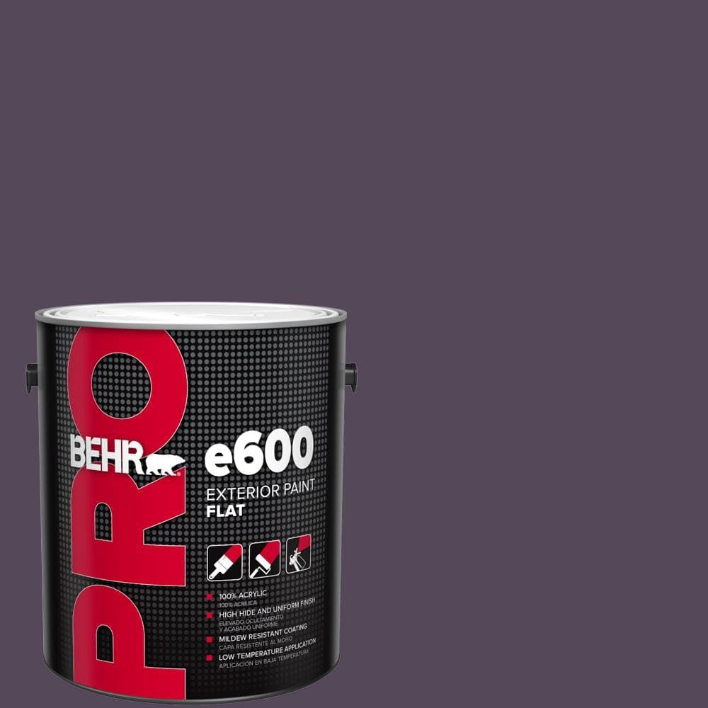 BEHR PRO 1 gal. #PPU17-01 Mata Hari Flat Exterior Paint