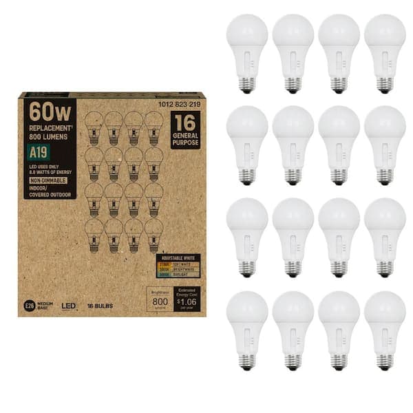 PRIVATE BRAND UNBRANDED 60-Watt Equivalent A19 Non-Dimmable CEC LED Light Bulb with Selectable Color Temperature (16-Pack)