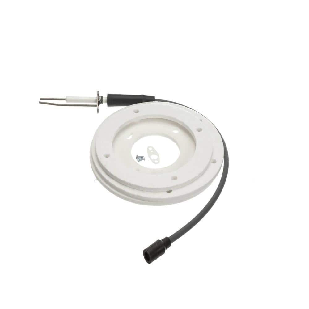 AO Smith Water Heater Ignitor Assembly Series 2 100191120