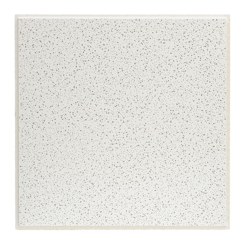 USG Ceilings 2 ft. x 2 ft. Radar White Shadowline Tapered Edge Lay-In Ceiling Tile, case of 16 (64 sq. ft.)