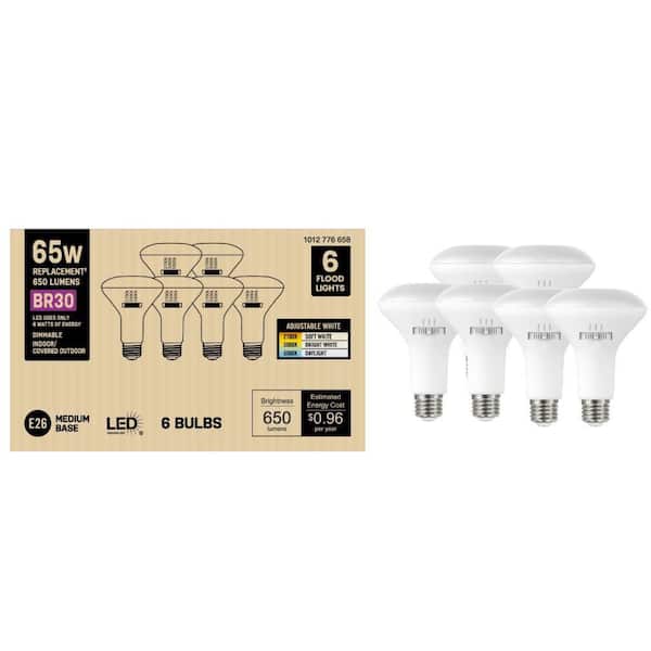 PRIVATE BRAND UNBRANDED 65-Watt Equivalent BR30 Dimmable LED Light Bulb With Selectable Color Temperature (6-Pack)