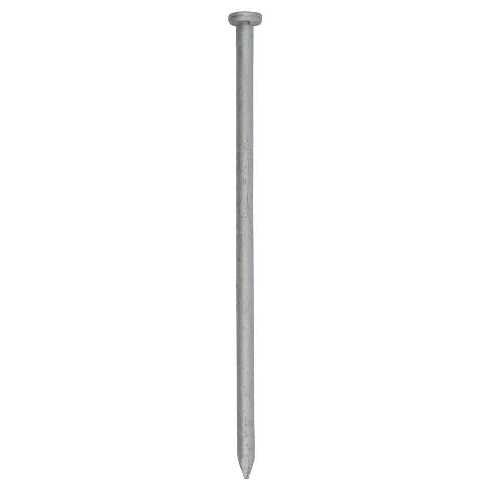 Grip-Rite 3/8 in. Exterior Galvanized Steel Spike Nails Box